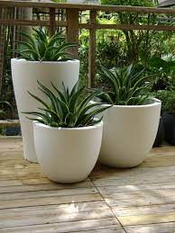 A woven wicker look creates the perfect boho style for your small backyard patio. Cuenco Potted Plants Outdoor Patio Plants Indoor Plants