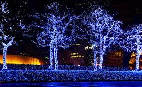 A local florist located in the heart of historic downtown thomasville georgia, walden's has been serving thomasville and the surrounding areas with the highest quality of service for over 75 years; See The Christmas In Lights Display Before It S Gone Thomasville Toyota