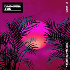 David guetta feat sia flames (7. David Guetta Sia Flames Tom Martin Remix By David Guetta