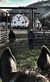 Go Behind The Scenes Of Yellowstone Season 2 With The Cast Photos Tv Insider Western Photo Cowboy Photography Yellowstone Series
