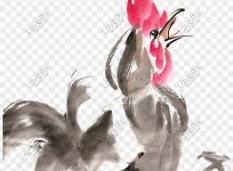 Paling Bagus 21 Gambar Ayam Jago Png Untuk Digunakan Gratis Tidak Ada Atribut Yang Di Perlukan Ayam Jago Ayam Burung Ayam Lukisan Tinta Ilustrasi Gambar