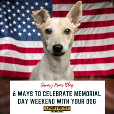 Memorial day (previously, but now seldom, called decoration day) is a federal holiday in the united states for honoring and mourning the military personnel who have died in the performance of their. 6 Ways To Celebrate Memorial Day Weekend With Your Dog Savory Prime Pet Treats
