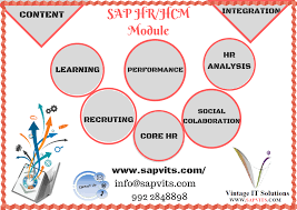 Sap Hr Training Sapvits Provide Sap Hr Online Training In Bangalore All Over India Usa Uk We Provide All Sap Hr Module Overview Tutoria Online Training Courses Professional Goals