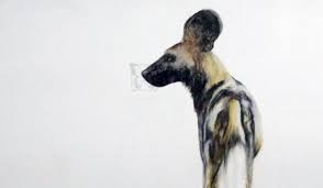 The koala is an iconic australian animal. Awards Achievements Artists For Conservation