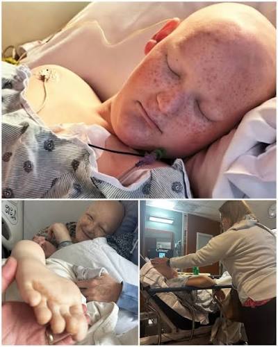 Will Roberts, a 15-year-old whose battle with cancer drew widespread  support from thousands of people across the country, died early Thursday,  his family announced in a Facebook post. LINK IN COMMENTS ⬇️