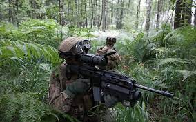 Grot new self titled e.p out now! Poland Signs Major Contract For 18 000 Msbs Grot Assault Rifles Militaryleak