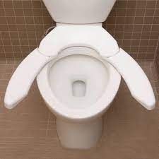 Toilet Seat for Obese People. What a time to be alive! - Imgur