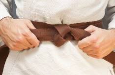 Brown Belt Training Seminars 2026