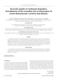 Lemon verbena dried herb certified organic loose leaf tea (alousia triphylla). 2