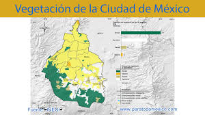 Consultando este mapa podrás situar los principales lugares de interés de ciudad de méxico y te ayudará a planificar mejor tu estancia en la ciudad. Vegetacion De Ciudad De Mexico Tipos De Vegetacion Y Especies