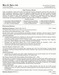 Resume Sample Chief Financial Officer Page 1 Executive Resume Manager Resume Resume Examples