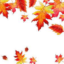 Beautiful Watercolor Autumn Leaves Background Maple Leaf Clipart Maple Leaf Orange Png And Vector With Transparent Background For Free Download Maple Leaf Drawing Watercolor Autumn Leaves Autumn Leaves Wallpaper