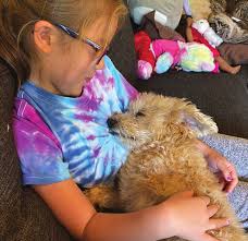 from the Senior Pets