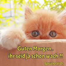 Sprüche Of Os Seelenmomente Facebook