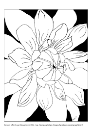 Collection of pictures of flower drawings (67) drawing for kids hd different types of flowers to color Flowers Free To Color For Kids Flowers Kids Coloring Pages