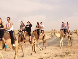 There are some great tours that partner the camel riding in israel with touring the bedouin lands for a day trip or this camel ranch is near the dead sea and a great stop to add on a trip to the dead sea. Day 3 Camel Riding Masada The Dead Sea Chabad At University Of Central Florida