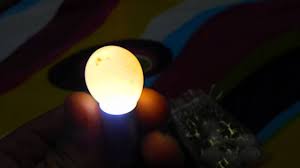 Sultanpapagani Yumurta Kontrol Youtube