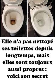 Elle N A Pas Nettoye Ses Toilettes Depuis Longtemps Mais Elles Sont Toujours Aussi Propres Voici Son Secret Living Room Designs Diy Household