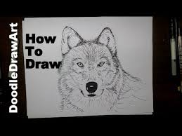 Again this time is another wild animal or below are step by step how to draw a wolf. Drawing How To Draw A Wolf Face Step By Step Arctic Wolf Sketched Or Grey Wolf Painted Youtube