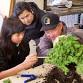 Make Your Own Bonsai