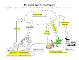 Carbon Cycle Diagram And Explanation Wiring Diagrams