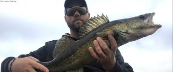 9 354 462 st antal företag. Fishing In Fargelanda Kommun