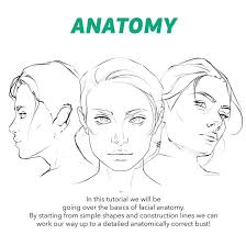 1 starting with the skeleton and poses. How To Art Face Construction Tutorial By Rashedjrs Click The
