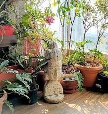 Balcony Plant Decor Winter Time Plants