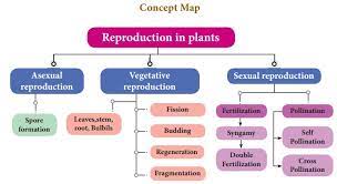 Check spelling or type a new query. Reproduction In Plants And Animals Introduction