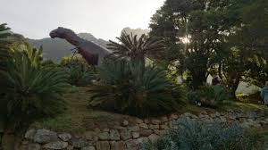 Riesenauswahl an produkten für zuhause. More Pictures Of Dinosaur Sculptures Amongst The Cycads In Kirstenbosch Gardens Georneys Agu Blogosphere