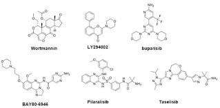 Image result for PIK3CA Inhibitor