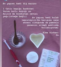 Rengarenk Adli Kullanicinin Kedicik Panosundaki Pin Elma Sirkesi Hindistan Cevizi Elmalar