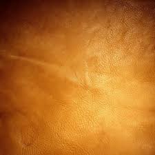 446 violet evergarden hd wallpapers and background images. Brown Yellow Orange Background Free Stock Photos Download 13 937 Free Stock Photos For Commercial Use Format Hd High Resolution Jpg Images