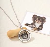 Custom Clear Pet Portrait Necklace