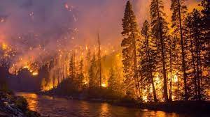 The small wildfire in the mountains above naramata is being monitored by bc wildfire service thursday night. Bc Wildfire And Bc Flood Information And Precautions