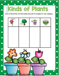 Type Of Plants Interactive Worksheet Plants Worksheets Plant Life Cycle Worksheet Kindergarten Worksheets