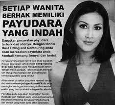 Hasil carian imej untuk PAYUDARA