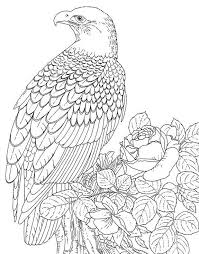 Coloring For Adults Kleuren Voor Volwassenen Dieren Kleurplaten Kleurplaten Kleurboek
