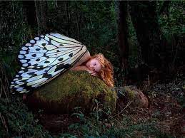 Pin Na Doske Mis Adentros Afuera