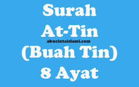 1:16 sejuk channel 794 416 просмотров. Teks Bacaan Surah At Tin Arab Latin Dan Arti Terjemahannya