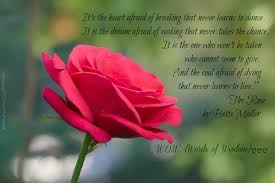 We have an official the rose tab made by ug professional guitarists. Rose Bette Midler Lyrics Quote Via Words Of Wisdom On Facebook Rose Whatsapp Profile Picture Lyrics To Live By