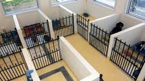 We offer exceptional care and four small animal boarding condos. Photos Of Small Dog Apartments For Boarding Your Small Pets Pet Resorts Of America Dog Kennel Designs Dog Kennel Dog Boarding Facility