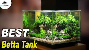 Check our post for the best betta fish tank reviews so you can provide your betta fish with a suitable environment. Best Betta Tank To Buy In 2020 10 Excellent Selections Youtube