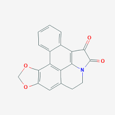 Image result for Lettowianthus stellatus