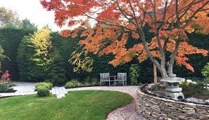 Japanese Inspired Garden Designnew Barnet Hertfordshire Garden Design Japanese Garden Design Garden Bonsai Tree