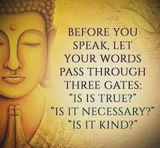 Anna Schwass (@anastarzia) • Instagram photos and videos