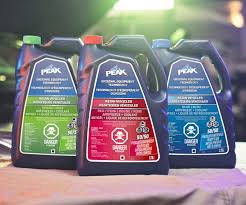 Image result for Bleu 1990 Fleet