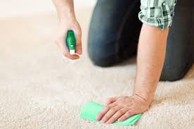 Pour nettoyer son tapis en profondeur. Tapis Clean Entreprise De Nettoyage De Tapis Sur Paris