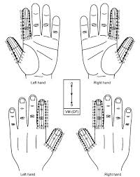 Ayurvedic Accupresure Figures Acupressure Research