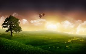 Sun ray lake full hd nature background wallpaper.jpg.: Free Photo Nature Bridge Bunch Forest Free Download Jooinn